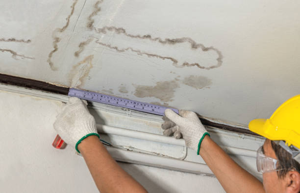 Reliable Flood Cleanup contractor in Warrensburg, IL by Water Damage Irwin